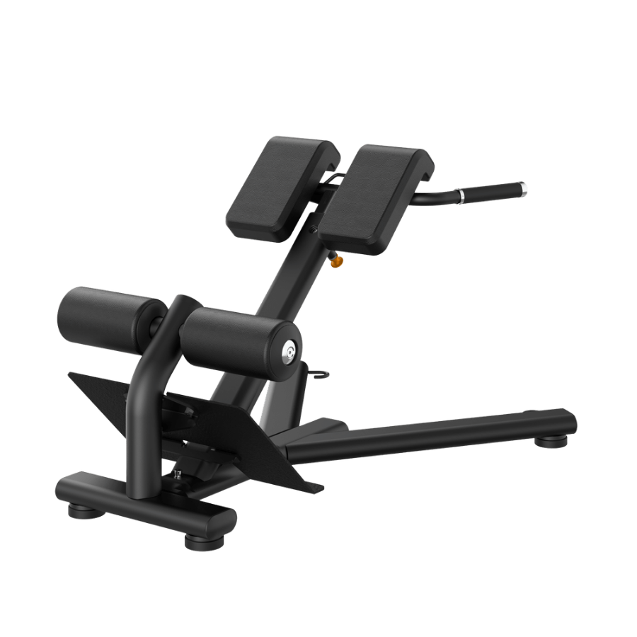 Ascentia Fitness Back Extension