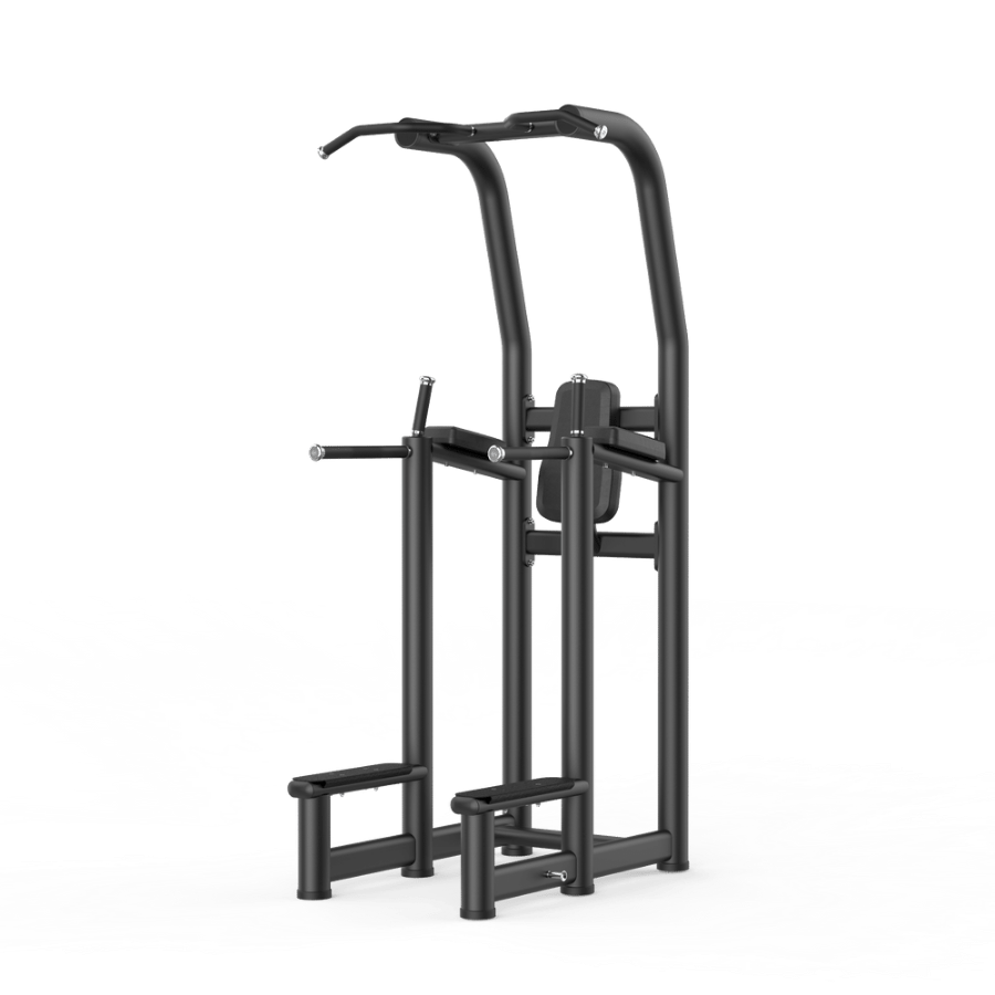Ascentia Fitness Vertical Knee Raise/Dip
